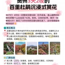 毕节旅游 缩略图 1