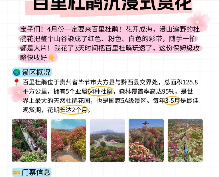 毕节旅游 1