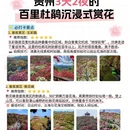 毕节旅游 缩略图 2