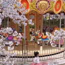 宁波旅游 缩略图 10