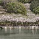 宁波旅游 缩略图 7