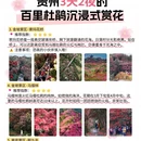 毕节旅游 缩略图 3