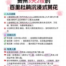 毕节旅游 缩略图 5