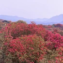 遵义旅游 缩略图 5