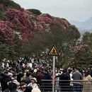 遵义旅游 缩略图 7