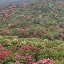 毕节旅游 缩略图 2