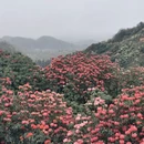 毕节旅游 缩略图 3