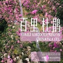 贵阳旅游 缩略图 2