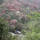 毕节旅游 缩略图 2