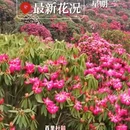 毕节旅游 缩略图 1