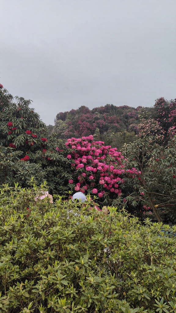 毕节旅游