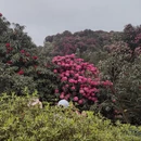 毕节旅游 缩略图 1