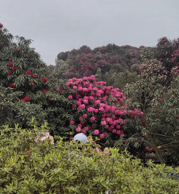 毕节旅游 1