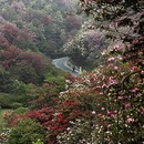 毕节旅游 缩略图 7