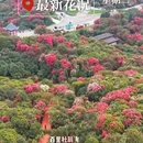 毕节旅游 缩略图 2