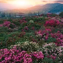 贵阳旅游 缩略图 5