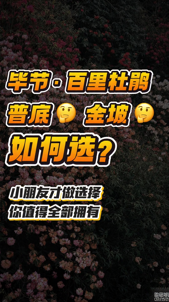 毕节旅游