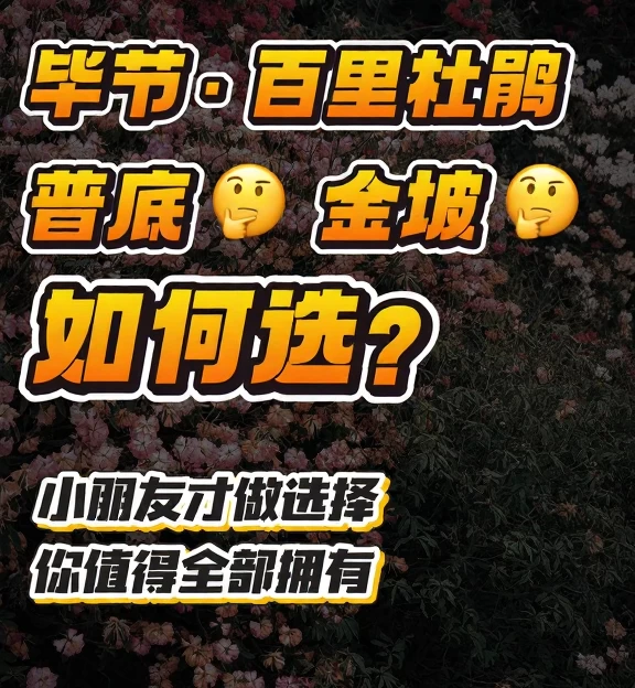 毕节旅游 1
