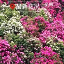 毕节旅游 缩略图 4