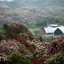 毕节旅游 缩略图 8