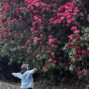 毕节旅游 缩略图 3