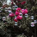 毕节旅游 缩略图 3