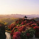 贵阳旅游 缩略图 8