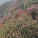 毕节旅游 缩略图 6