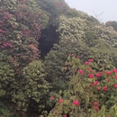 毕节旅游 缩略图 4