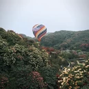 毕节旅游 缩略图 5
