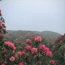 毕节旅游 缩略图 6