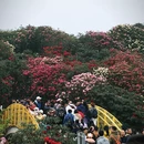 毕节旅游 缩略图 4