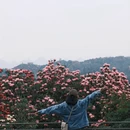 毕节旅游 缩略图 6