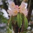 毕节旅游 缩略图 7