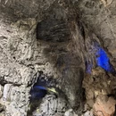 毕节旅游 缩略图 18
