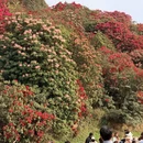 遵义旅游 缩略图 8