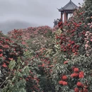 毕节旅游 缩略图 6