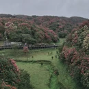 毕节旅游 缩略图 5