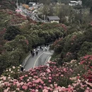 遵义旅游 缩略图 10