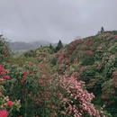毕节旅游 缩略图 4