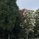 遵义旅游 缩略图 11