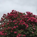 毕节旅游 缩略图 1