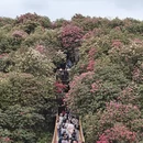 毕节旅游 缩略图 3
