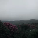 毕节旅游 缩略图 1