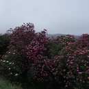 毕节旅游 缩略图 4