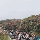 毕节旅游 缩略图 2