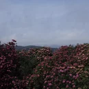 毕节旅游 缩略图 5