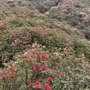 毕节旅游 缩略图 4
