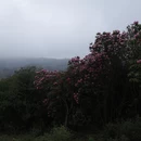 毕节旅游 缩略图 2
