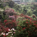 毕节旅游 缩略图 4